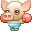 rocky swine