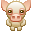 staring swine